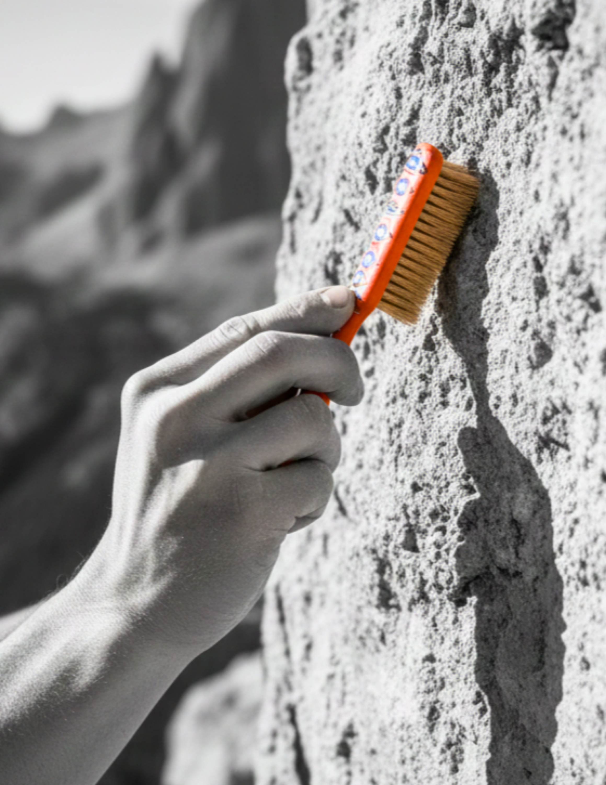 Cepillo escalada "TORC"